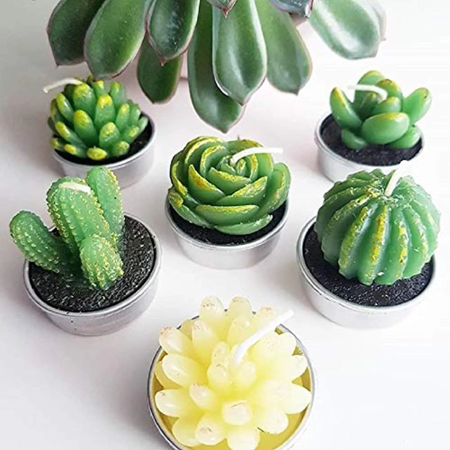 6PCS Cactus Tealight Candles, Decorative Delicate Succulent Handmade Cute Mini Plants Candles