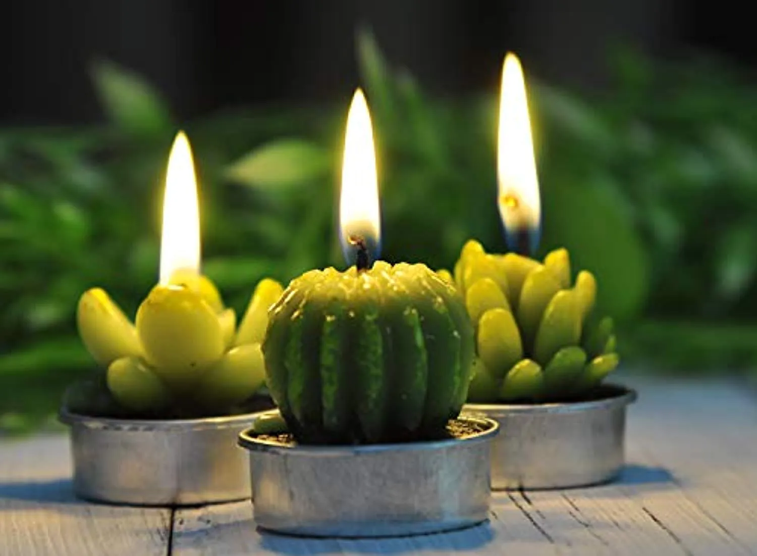 6PCS Cactus Tealight Candles, Decorative Delicate Succulent Handmade Cute Mini Plants Candles