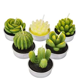 6PCS Cactus Tealight Candles, Decorative Delicate Succulent Handmade Cute Mini Plants Candles