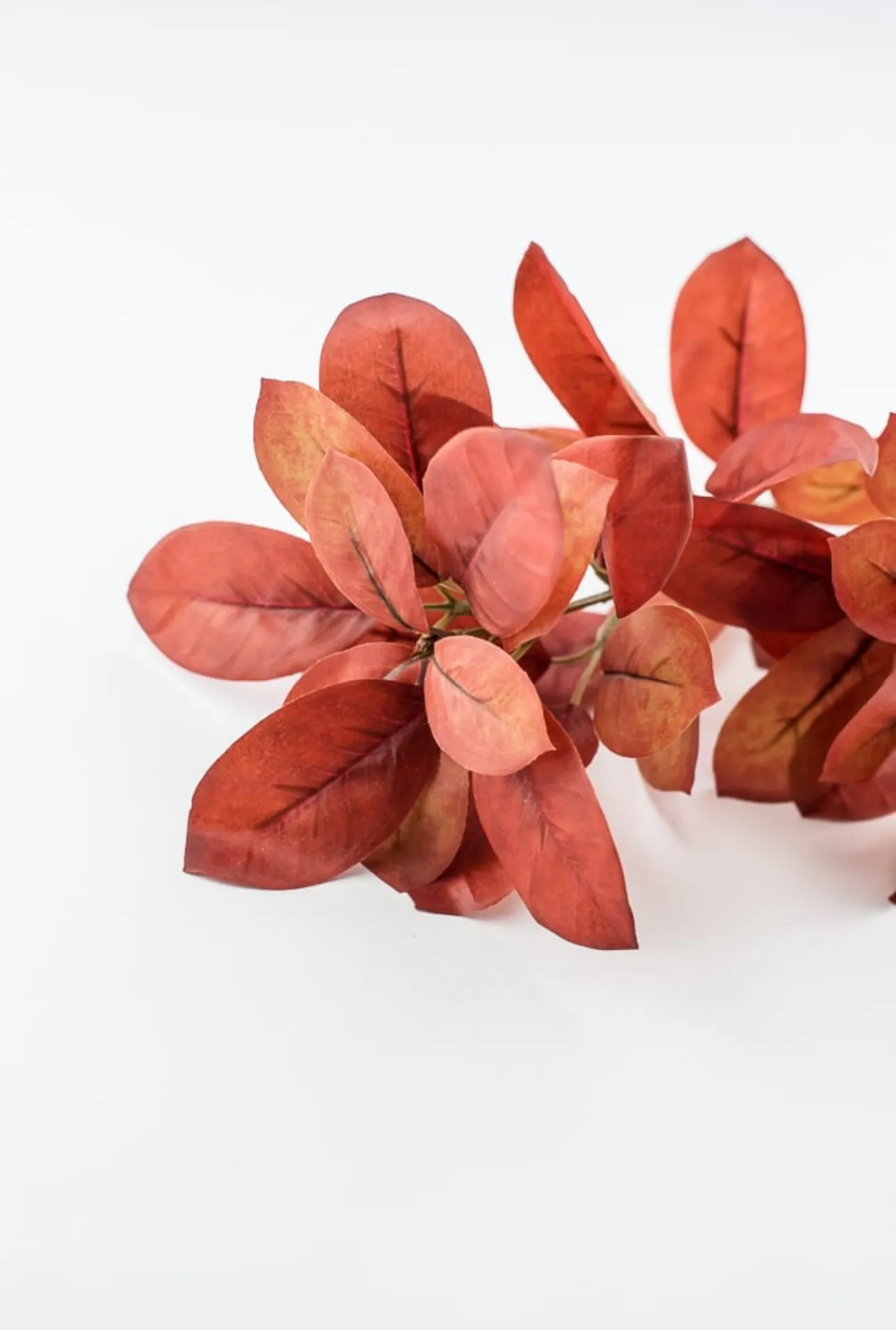 Autumn leaf spray - burgundy rust