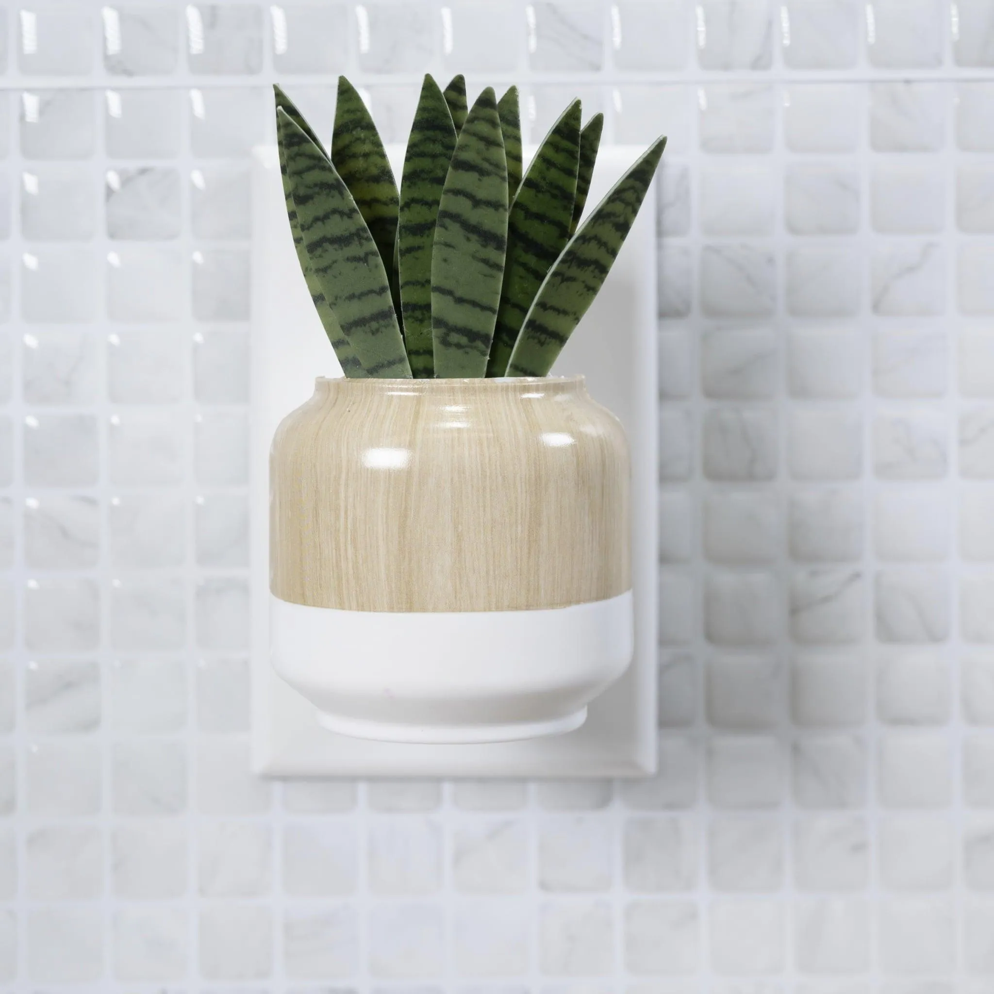 Better Homes & Gardens Aroma Accents Fragrance Plug, Snake Plant