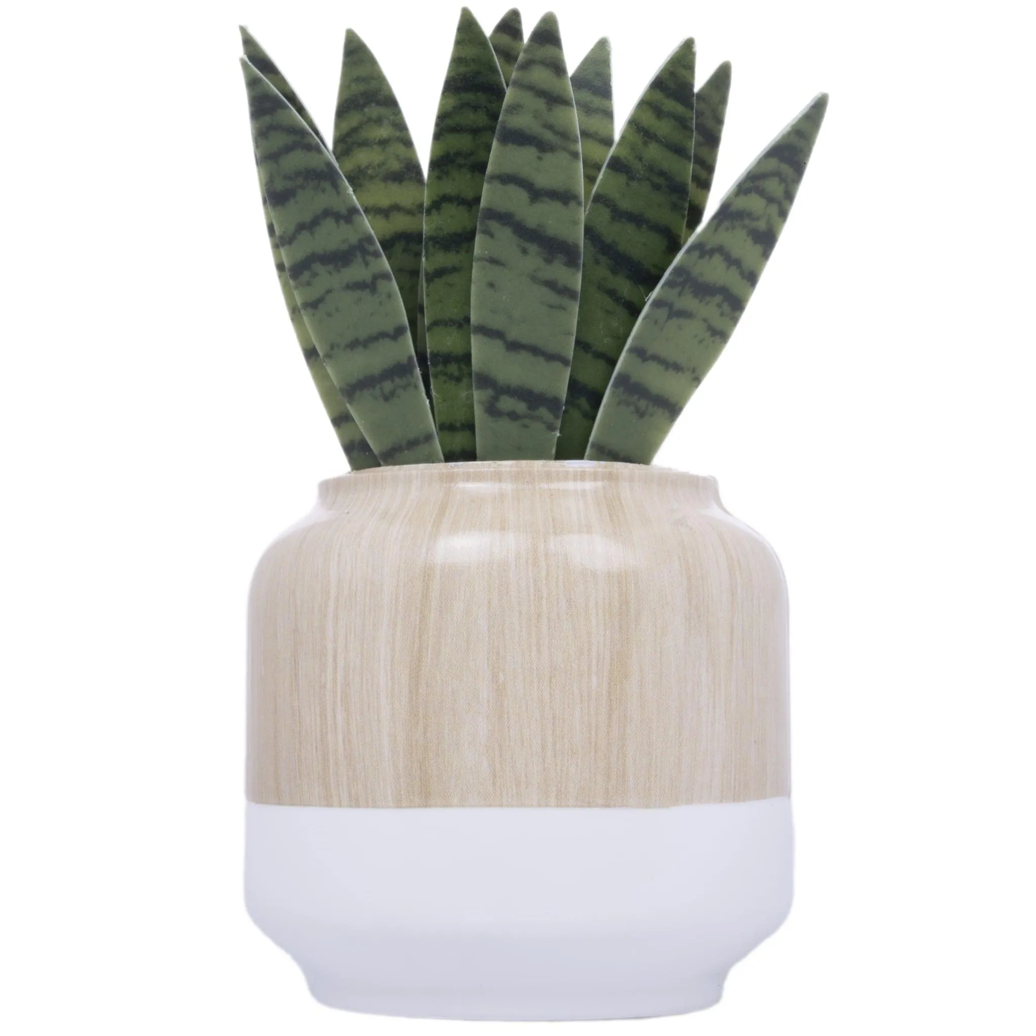 Better Homes & Gardens Aroma Accents Fragrance Plug, Snake Plant