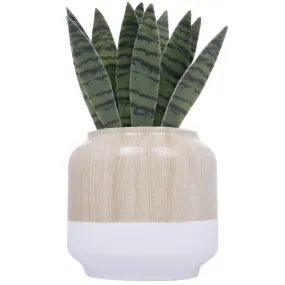 Better Homes & Gardens Aroma Accents Fragrance Plug, Snake Plant