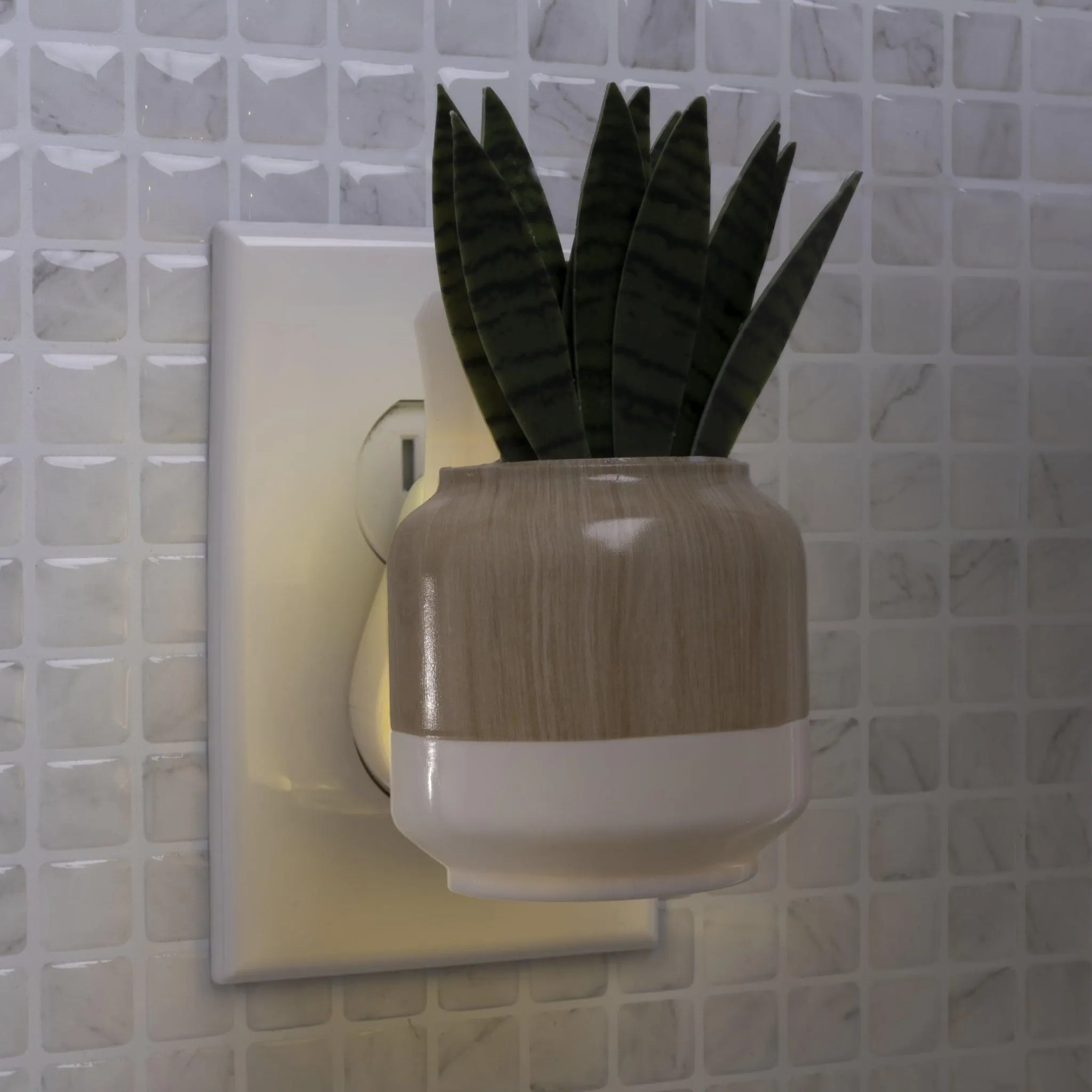 Better Homes & Gardens Aroma Accents Fragrance Plug, Snake Plant