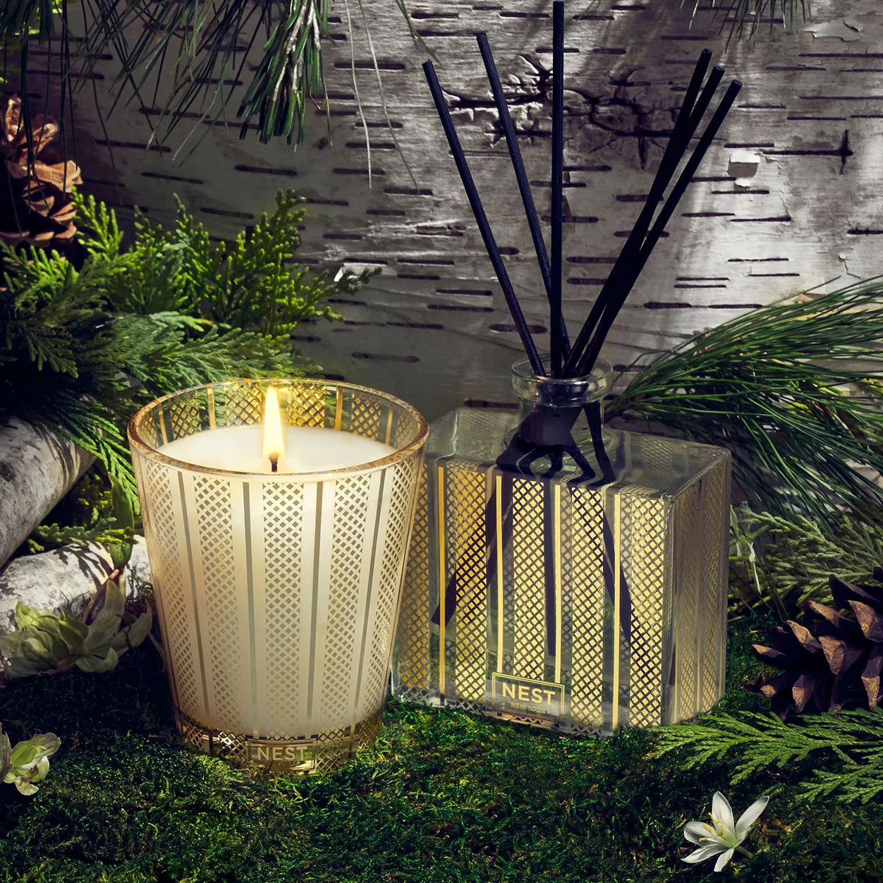 Birchwood Pine Reed Diffuser (Limited Edition)