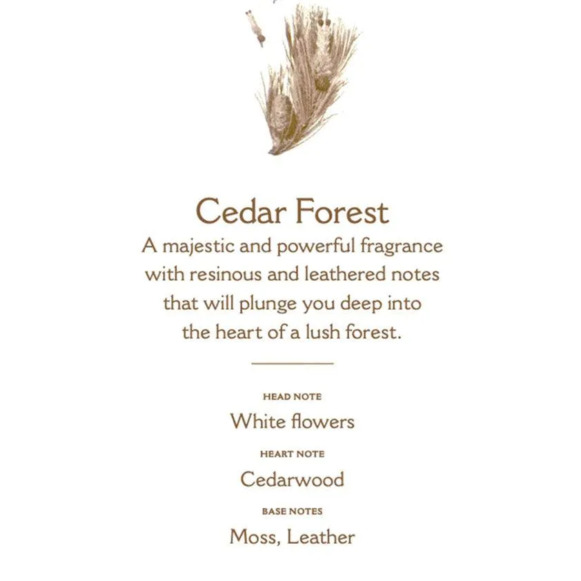 Cedar Forest Reed Diffuser