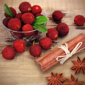 Cinnamon Bayberry - Premium Fragrance Oil