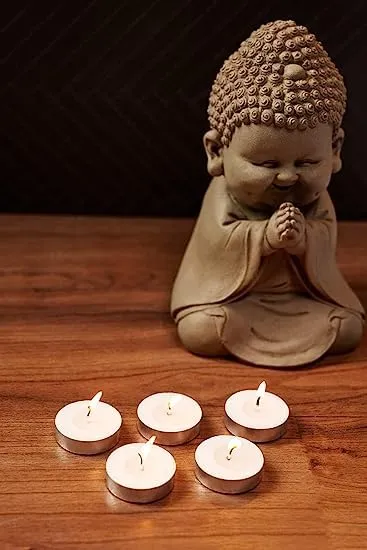 DeLush Wax Tealight Candles Burning Time, 100% Fully Refined Paraffin Wax, Unscented, Smokeless, Dripless, for Home Decor, Offices & Other Occasions (White) (4 Hours, Pack of 500)