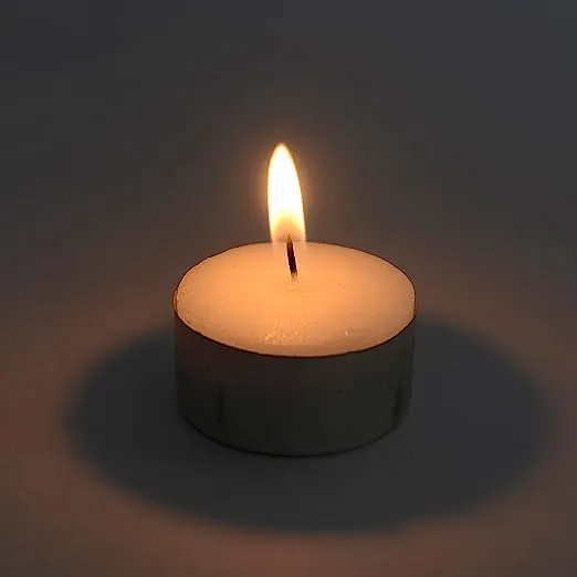 DeLush Wax Tealight Candles Burning Time, 100% Fully Refined Paraffin Wax, Unscented, Smokeless, Dripless, for Home Decor, Offices & Other Occasions (White) (4 Hours, Pack of 500)