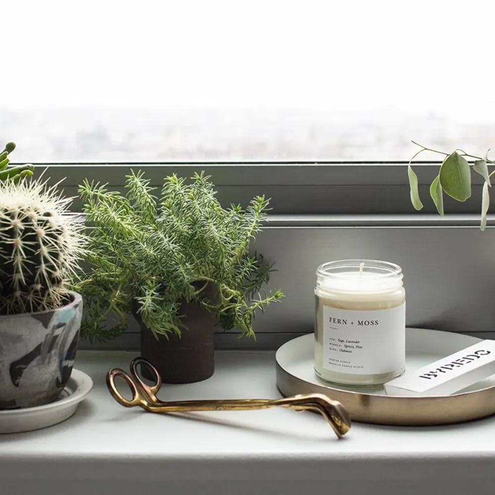 Fern   Moss Candle