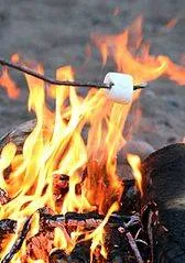 Fireside Marshmallows - Premium Fragrance Oil
