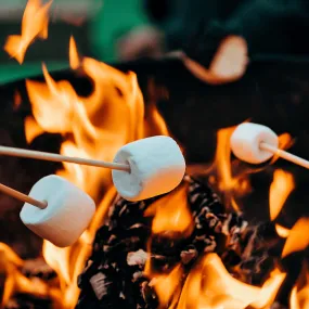 Fireside Marshmallows - Premium Fragrance Oil