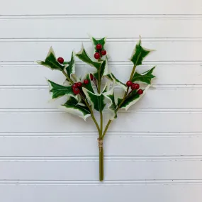 Fresh Cut Holly Pick
