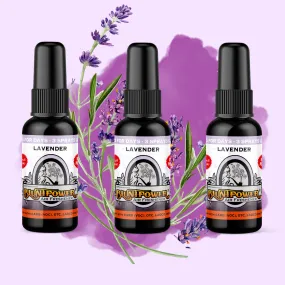Lavender Spray Air Freshener Bundle (3 Pack)
