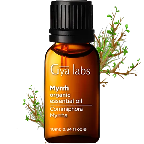 Organic Myrrh Oil