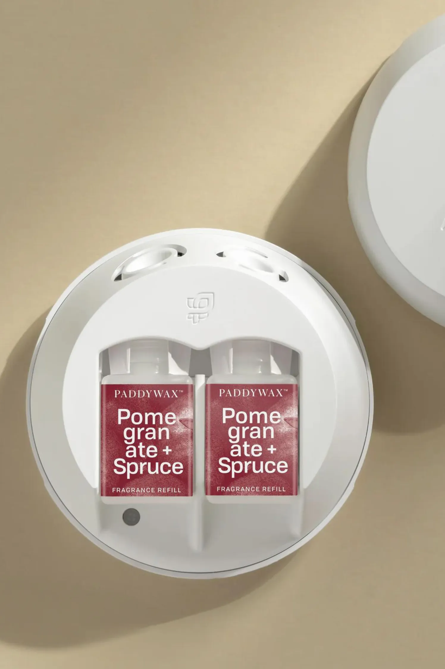 Paddywax - Pomegranate   Spruce