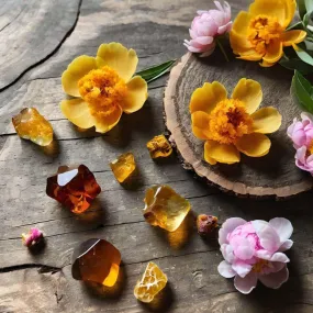 Peony   Amber FO/EO Blend