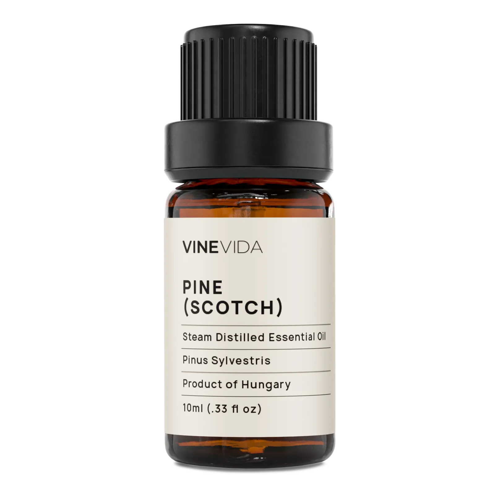 Scotch Pine Essential Oil