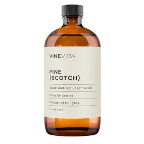 Scotch Pine Essential Oil