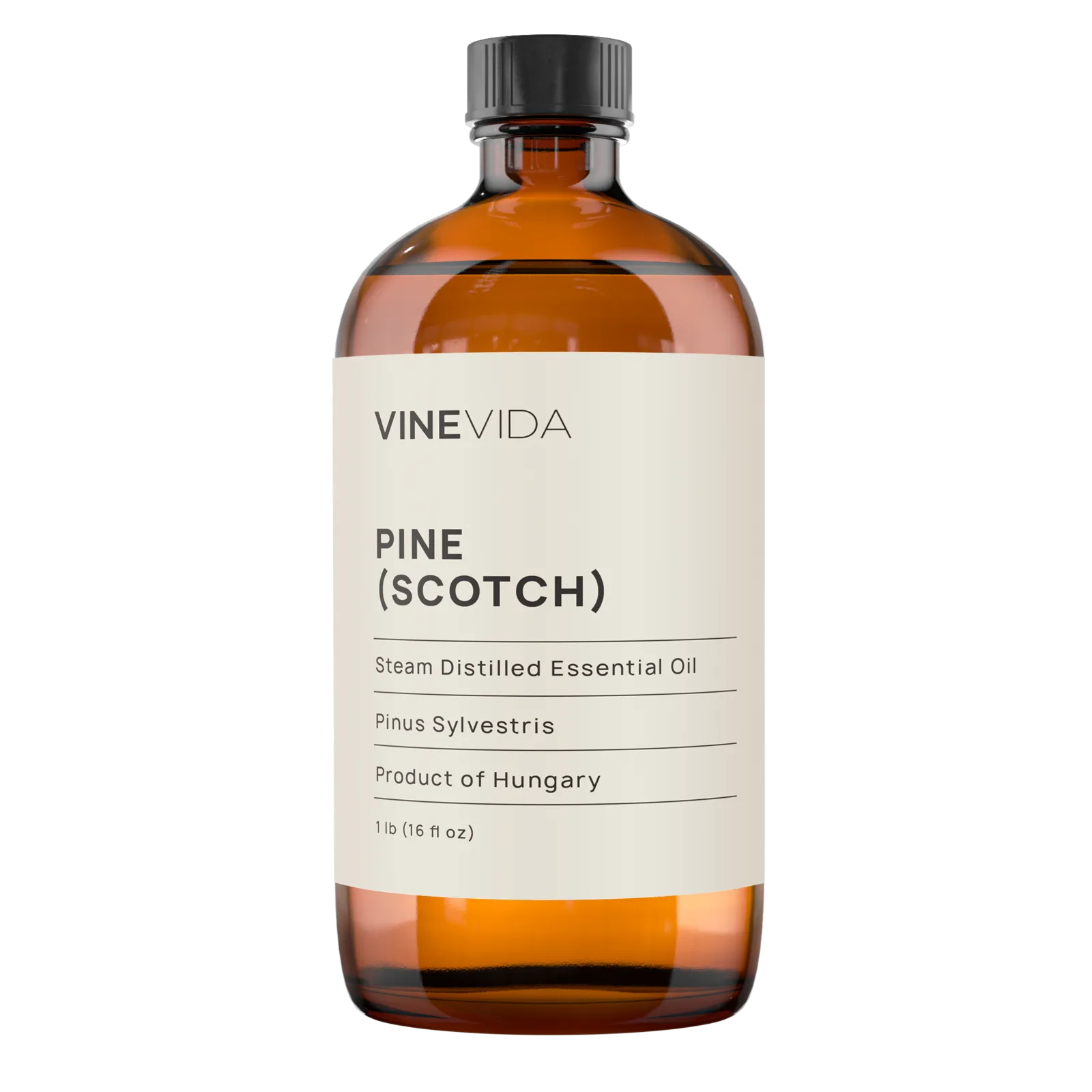 Scotch Pine Essential Oil