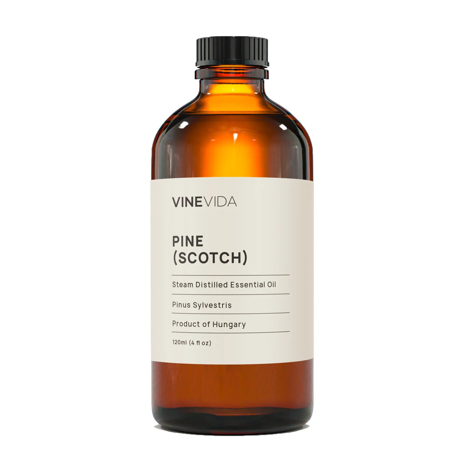 Scotch Pine Essential Oil