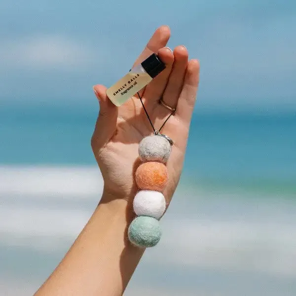 Smelly Balls Seapink Reusable Car Freshener (Sweetpea)