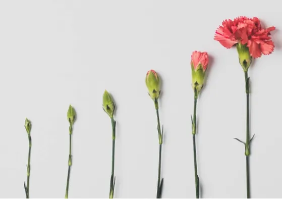 You Know You Are Getting Old....- Plantable Greeting Card